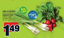 Super C radis en feuilles | top radishes or green onions offer
