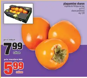 Super C plaquemine sharon | sharon persimmon offer