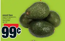 Super C avocat Hass | Hass avocado offer