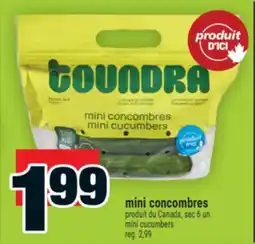 Super C mini concombres | mini cucumbers offer