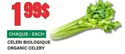 Marches Tau CÉLERI BIOLOGIQUE offer