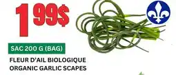 Marches Tau FLEUR D'AIL BIOLOGIQUE offer