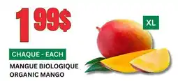 Marches Tau MANGUE BIOLOGIQUE offer