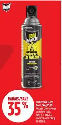 Canadian Tire Raid Wasp & Hornet Foam, 500g offer