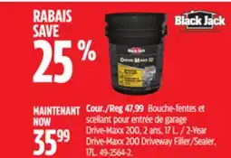Canadian Tire Black Jack 2-Year Drive-Maxx 200 Driveway Filler/Sealer, 17L offer