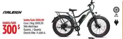 Canadian Tire Quanta Electric Bike offer