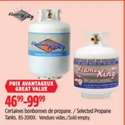 Canadian Tire Selected Propane Tanks offer