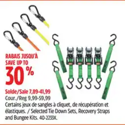 Canadian Tire Selected Tie Down Sets, Recovery Straps and Bungee Kits offer