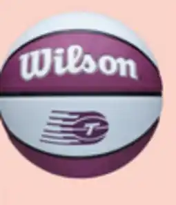 Canadian Tire Wilson WNBA Team Tribute Toronto Tempo Basketball offer