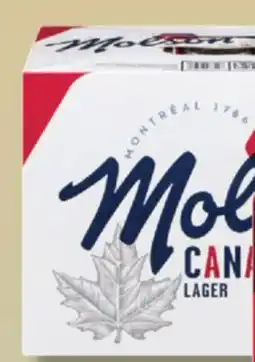 IGA MOLSON EXPORT BEER offer