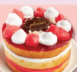 IGA (5 in.) CAKE offer
