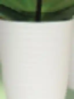 IGA ORCHID Pot 7,6 cm (3 in.) offer