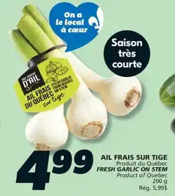 IGA FRESH GARLIC ON STEM offer