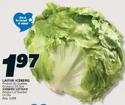IGA ICEBERG LETTUCE offer