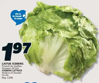 IGA ICEBERG LETTUCE offer