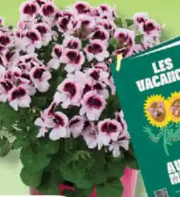 IGA AVEC MÉLANIE THEMED BOUQUET offer