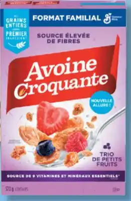 IGA GENERAL MILLS FORMAT FAMILIAL CEREAL offer