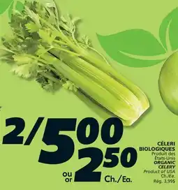 IGA CÉLERI BIOLOGIQUES offer