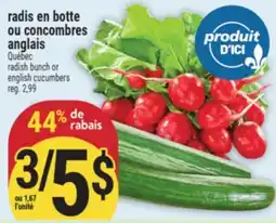 Marché Adonis radis en botte ou concombres anglais | radish bunch or english cucumbers offer