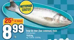 Marché Adonis loup de mer (bar commun) frais | fresh sea bass offer