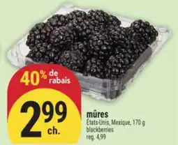 Marché Adonis mûres | blackberries offer
