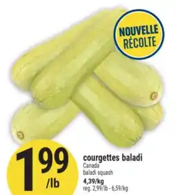 Marché Adonis courgettes baladi | baladi squash offer