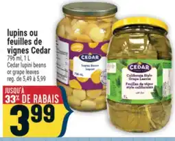 Marché Adonis lupins ou feuilles de vignes Cedar | Cedar lupini beans or grape leaves offer