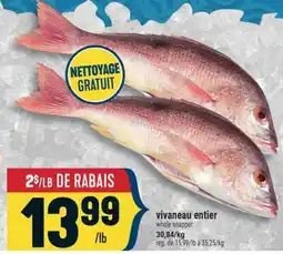 Marché Adonis VIVANEAU ENTIER | WHOLE SNAPPER offer