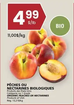 Rachelle-Bery Grocery ORGANIC PEACHES OR NECTARINES offer