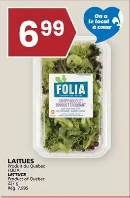 Rachelle-Bery Grocery FOLIA LETTUCE offer