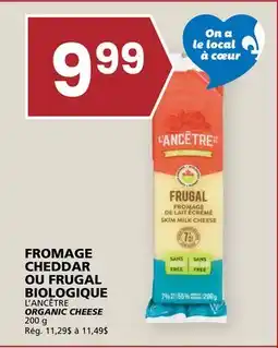 Rachelle-Bery Grocery L'ANCÊTRE ORGANIC CHEESE offer