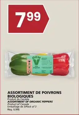 Rachelle-Bery Grocery ASSORTMENT OF ORGANIC PEPPERS offer