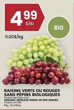 Rachelle-Bery Grocery ORGANIC SEEDLESS GREEN OR RED GRAPES offer