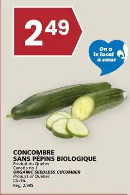 Rachelle-Bery Grocery ORGANIC SEEDLESS CUCUMBER offer