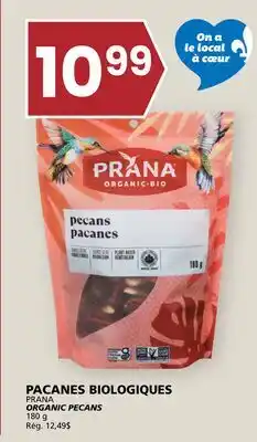 Rachelle-Bery Grocery PRANA ORGANIC PECANS offer