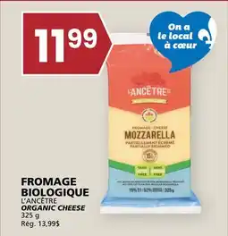 Rachelle-Bery Grocery L'ANCÊTRE ORGANIC CHEESE offer