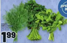 Metro CORIANDRE, ANETH OU MENTHE | CILANTRO, DILL OR MINT offer