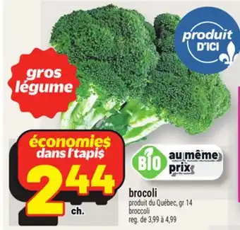Metro BROCOLI | BROCCOLI offer
