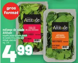 Metro MÉLANGE DE SALADE ATTITUDE | ATTITUDE SALAD MIX offer