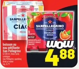 Metro BOISSON OU EAU PÉTILLANTE SAN PELLEGRINO | SAN PELLEGRINO SPARKLING DRINK OR WATER offer