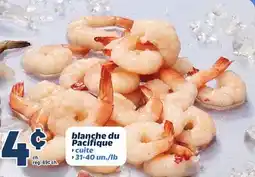 Metro BLANCHE DU PACIFIQUE offer