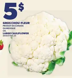 Provigo GROS CHOU-FLEUR | LARGE CAULIFLOWER offer