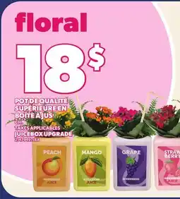 Provigo POT DE QUALITÉ SUPÉRIEURE EN BOÎTE À JUS | JUICEBOX UPGRADE offer
