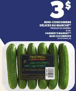Provigo MINI-CONCOMBRE DÉLICES DU MARCHÉ, 6 UN. | FARMER'S MARKET MINI CUCUMBERS offer