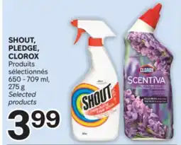 Brunet SHOUT, PLEDGE, CLOROX Produits sélectionnés offer