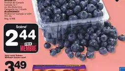 Marches Tradition BLUEBERRIES offer