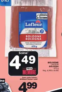 Marches Tradition LAFLEUR BOLOGNA offer