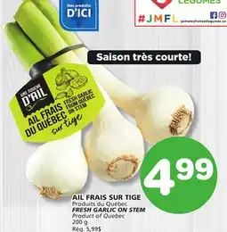 Marches Tradition FRESH GARLIC ON STEM offer