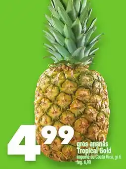 Marche Ami gros ananas TropicalGold offer