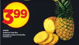 Maxi ANANAS offer